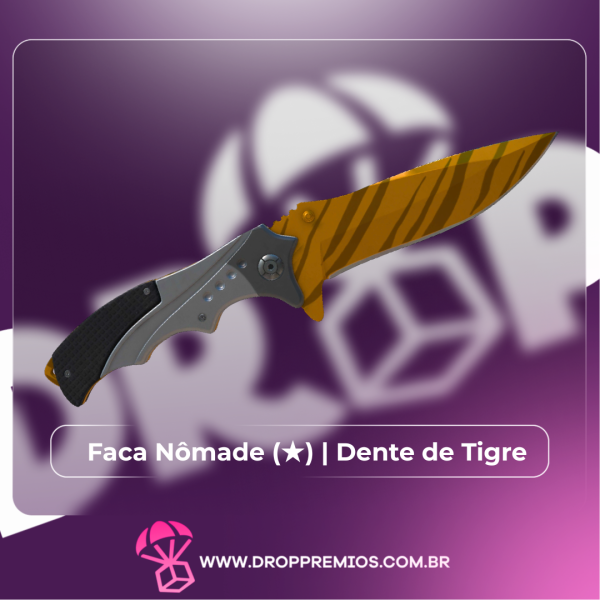 MEGA KIT DA VIRADA 2025